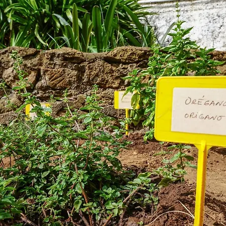 Nyaraló Eco House In Unique Environment La Orotava