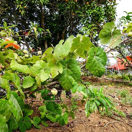 度假居 Eco House In Unique Environment *